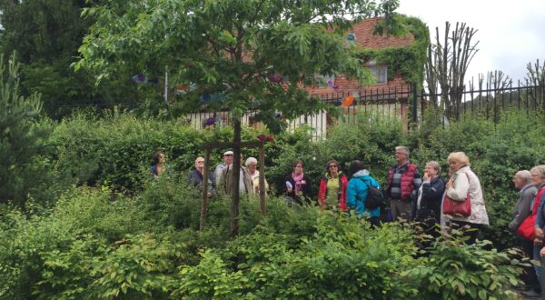 groupe dans le jardin